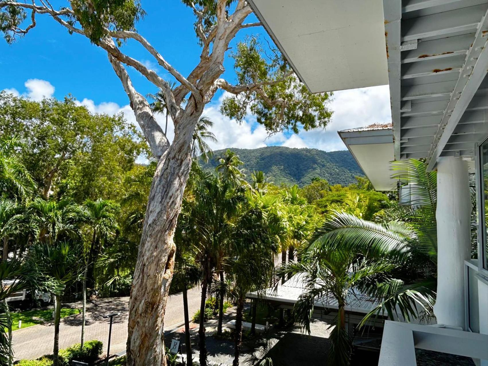Palm Cove Beachside Apartments - Pool And Garden Views Exterior photo